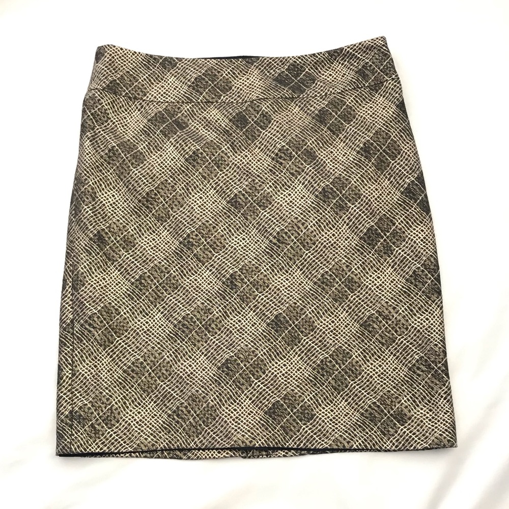 The Limited Skirt Sz. 8